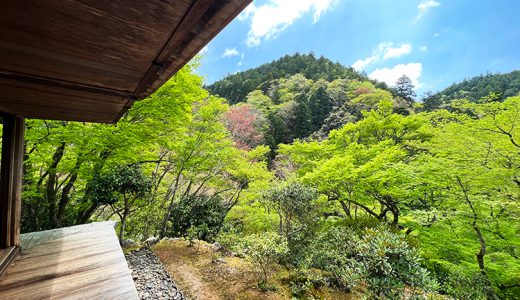 新緑が気持ち良い高山寺を訪れた話